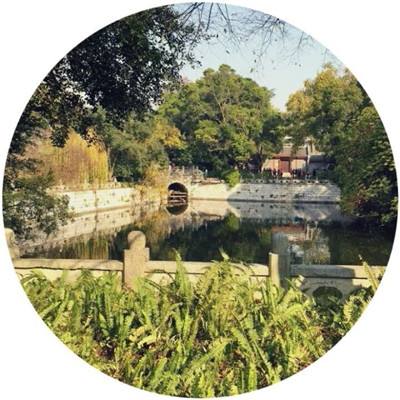 刀剑奇缘录手游下载
